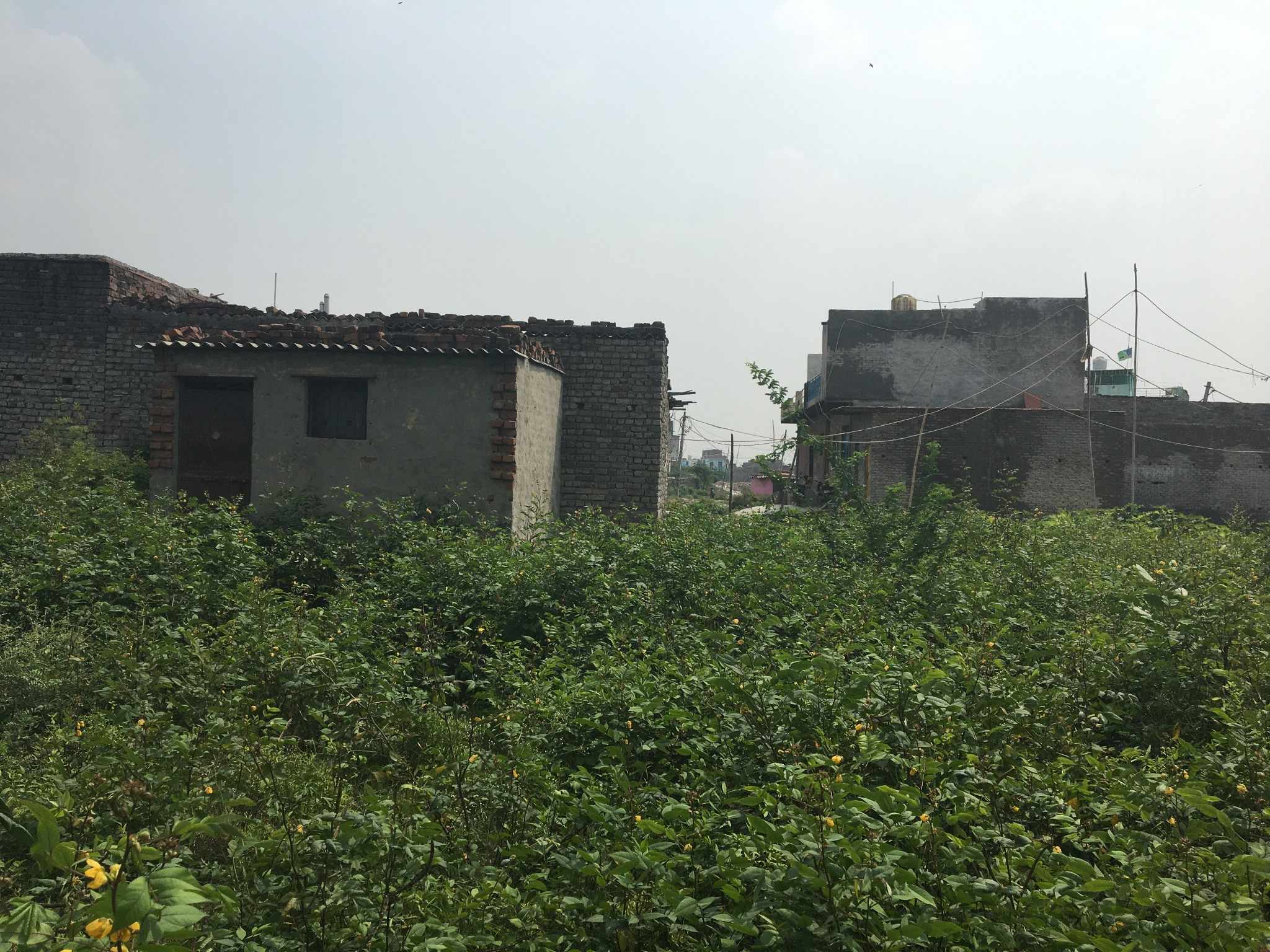 Settlements in Jaitpur